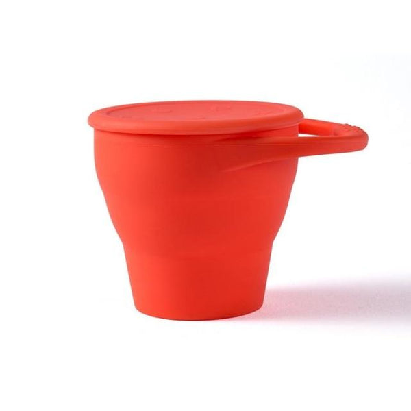 fruit plate snack plate