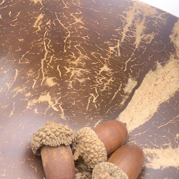 Natural wood coconut shell bowl