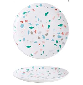 painting dinner plate dish Dishwasher